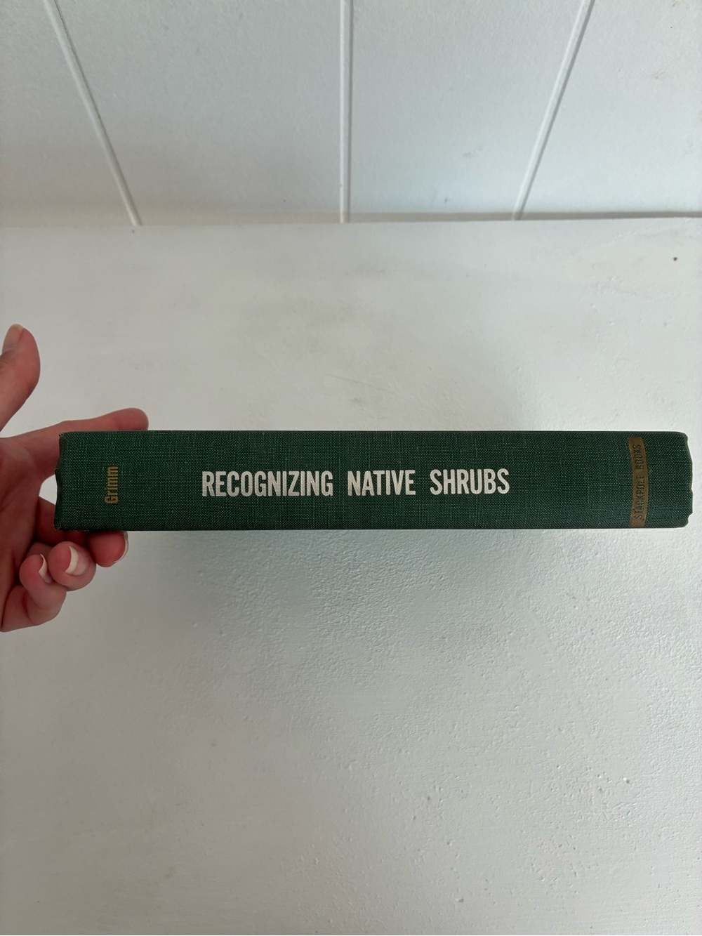 Recognizing Native Shrubs 1966 by William Carey Grimm